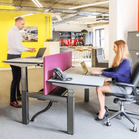 Dividing Privacy Screen for DUO Standing Desks