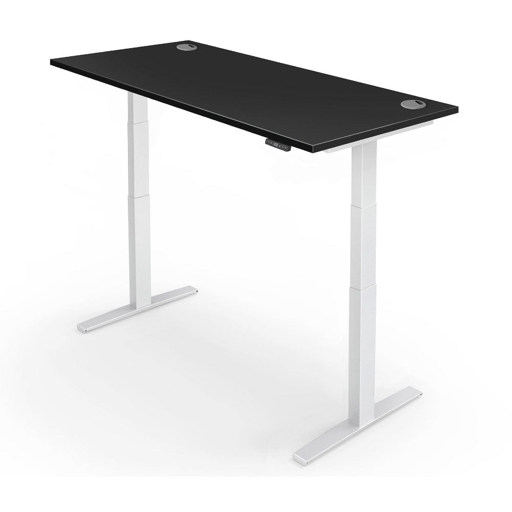 Yo-Yo DESK PRO 2+ Dual Motor Electric Adjustable Standing Desk