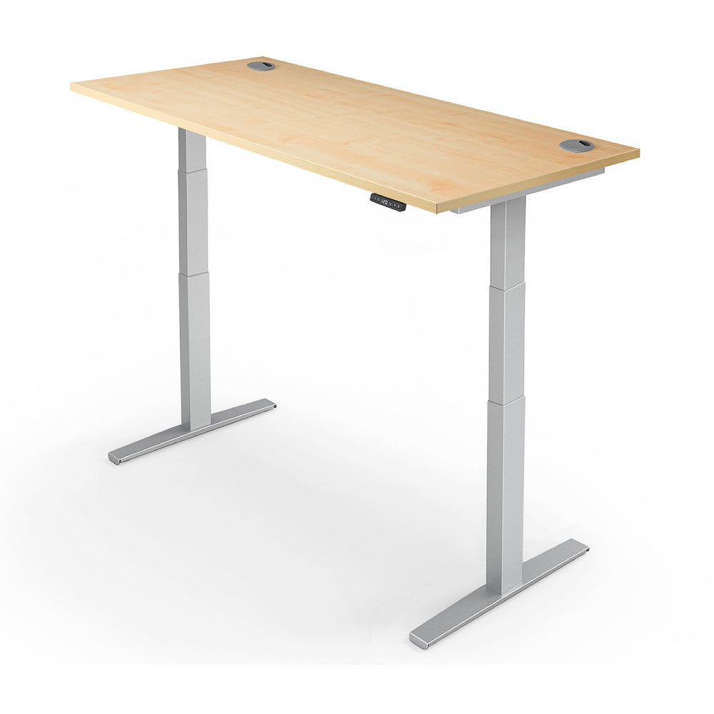 Yo-Yo DESK PRO 2+ Dual Motor Electric Adjustable Standing Desk