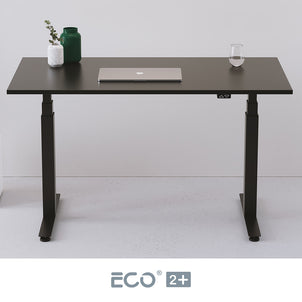 ECO 2+